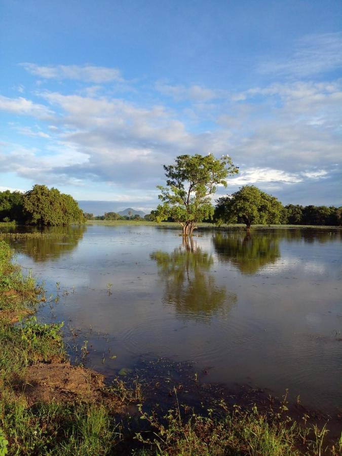 Lake Edge Dambulla Exterior foto