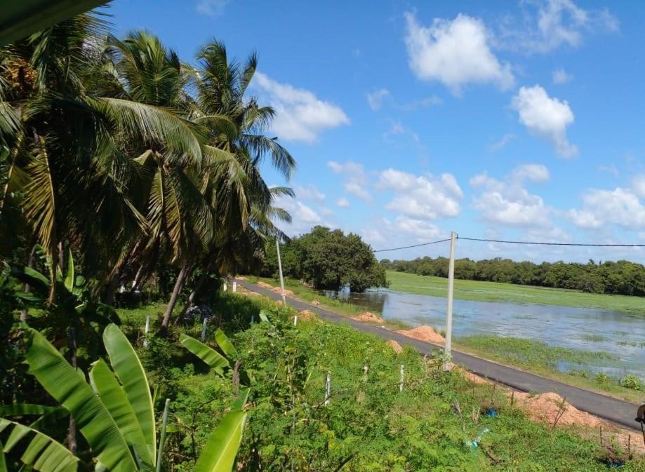 Lake Edge Dambulla Exterior foto