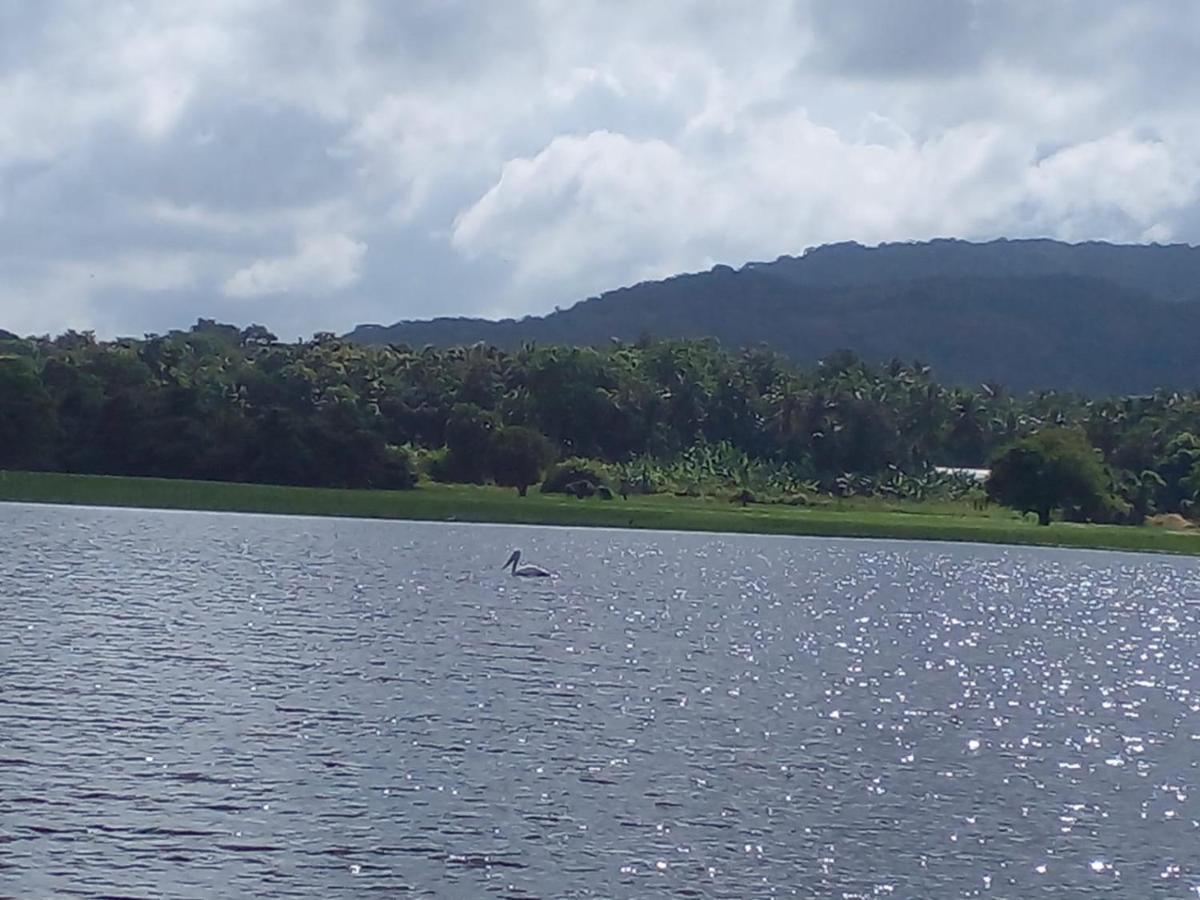 Lake Edge Dambulla Exterior foto