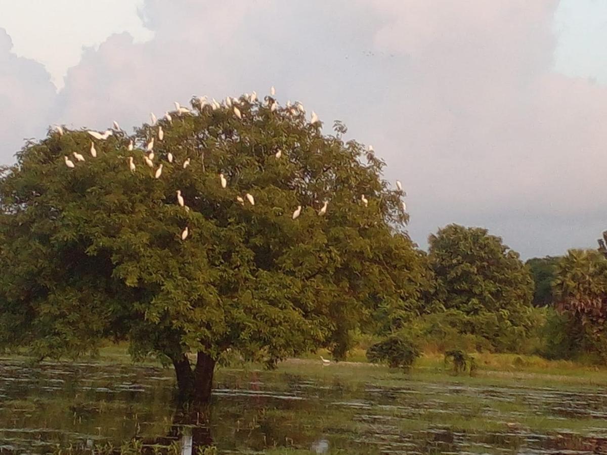 Lake Edge Dambulla Exterior foto